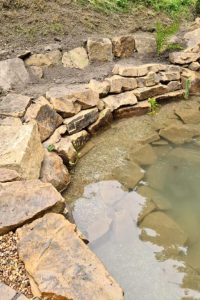 200745113_1183088448838159_5042579687192461625_n